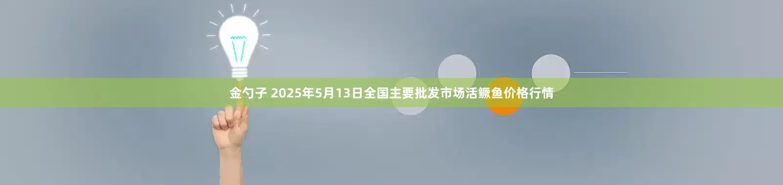 金勺子 2025年5月13日全国主要批发市场活鳜鱼价格行情