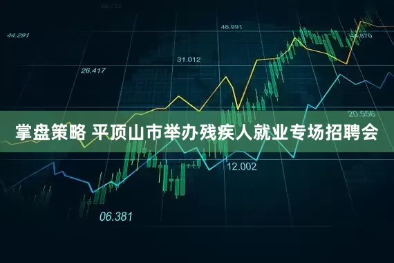 掌盘策略 平顶山市举办残疾人就业专场招聘会